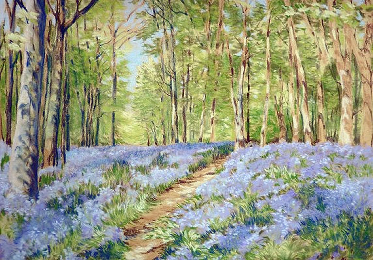 Bluebell Walk